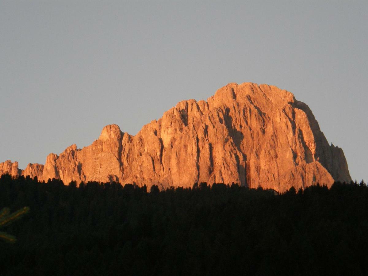 Hotel Garni Concordia - Dolomites Home Selva di Val Gardena Esterno foto